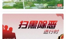 今日青岛爆料新闻视频,视频揭露惊人真相！